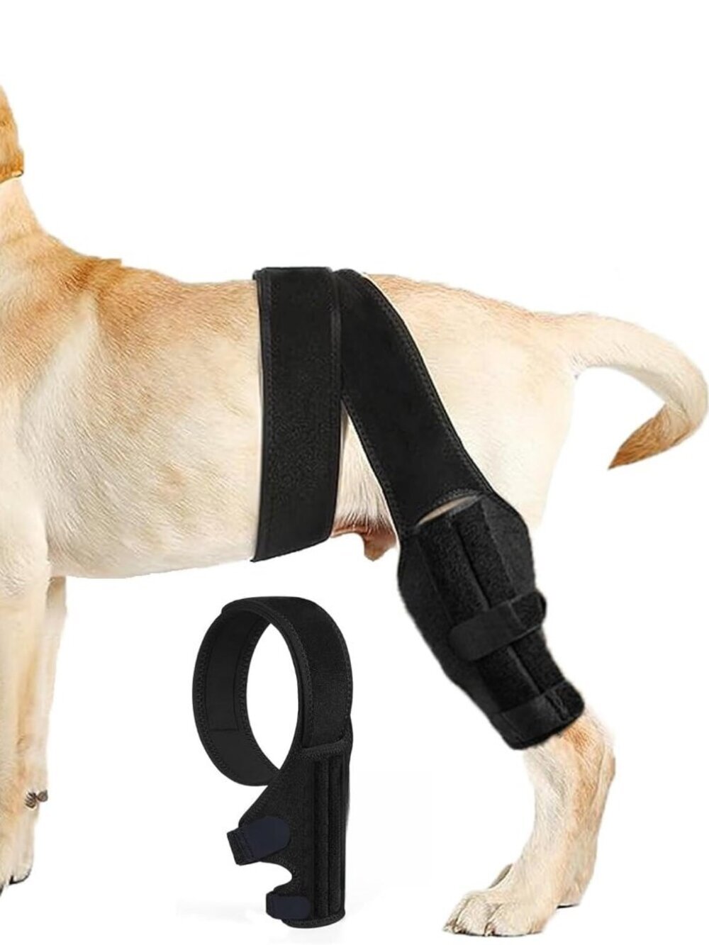 Dog Knee Brace for Torn ACL Hind Leg, Dual-Leg CCL Support with Vest Harness